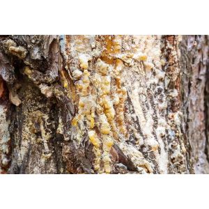 Add Your Own Beeswax to All Natural Pine Rosin Tree Resin for Baseball Grip Tack