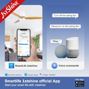 Flush Mount Ceiling Fan with Lights and Remote Control 6 Speed Choice Metal Lamp