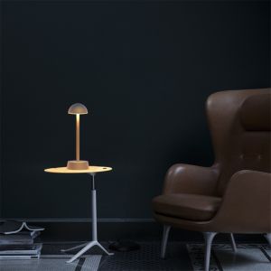 Phone Control Rechargeable Table Lamp, RGBW Portable Night Light for Living