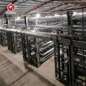 H Shaped Egg Layer Cages Small Stacked Battery Cage System