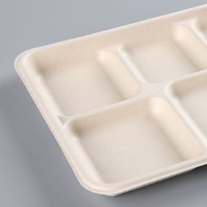 biodegradable tableware Rectangle 5 division meal snack Tray