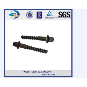 Bronze / Iron / Aluminum Railway Sleeper Fixing Screws 10.9 Grade