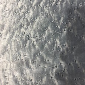 China Dyed Birdseye Maple Veneer Sheet Plywood Surface Moisture Resistant on sale