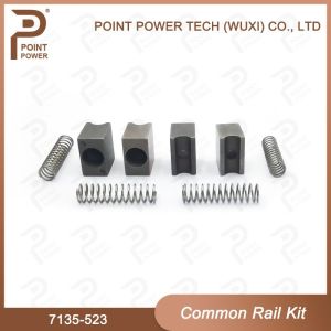 Common Rail Repair kit 7135-523 High Speed Steel 4pcs