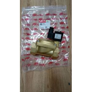 39318241 TD Oil Cut-off Solenoid Valve DN40 Interface AC110V for Ingersoll Rand