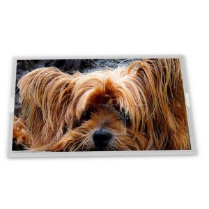 40 Pins LVDS 10.1 Inch Lcd Display Modules 1280*800 TM101JDHG38-00