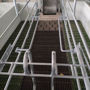 Hot DIP Galvanized Sow Farrowing Crate 1 Inch Tube Swine Farrowing Pen