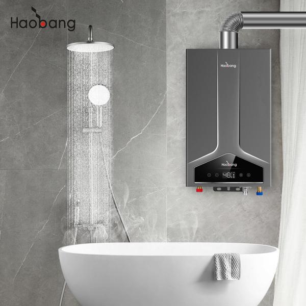 Buy Electrical Voltage 110V-220V Balanced Gas Water Heater with Lower Inlet And Upper Inlet at wholesale prices