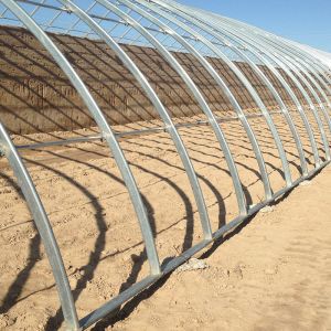 China Single Layer Solar Greenhouse for Vegetable Growing  Hydroponic System on sale