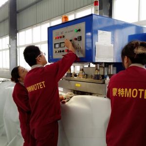 Quality Digester Mounted Double Membrane Gas Holder Weatherproof Spherical Design for sale