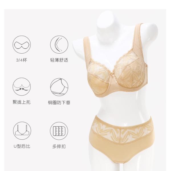 High Quality Comfortable Women's Bra And Panty Set Lace Underwear And Bra Sets D Cup