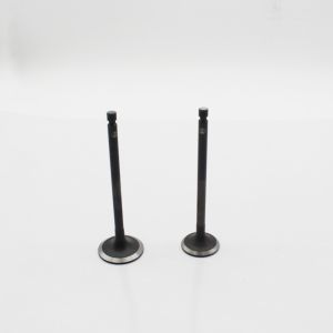 Machinery Diesel Engine Valve 4TNV106 129104-11101 Inlet Exhaust Valves For