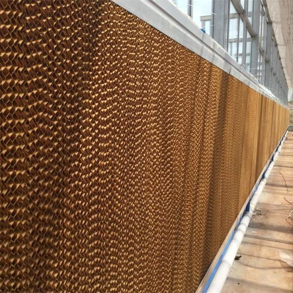 Buy Single / Multi Span Greenhouse Negative Fan Cooling Pad Cooling System at wholesale prices