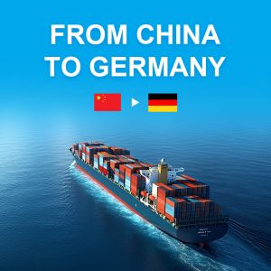Warehousing Distribution Labeling Repackaging Sea Freight Shipping Services From China To Germany