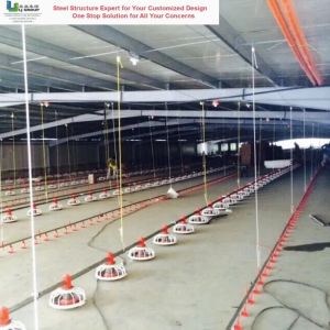 Material Quality Assurance Steel Structure Poultry House Fire Resistant