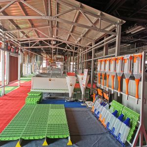 Automated Ventilation Steel Frame Chicken Coop Management Poultry House