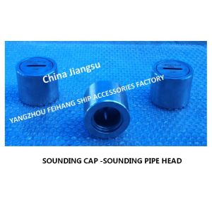 Stainless Steel 316L Elevated Sounding Pipe Head For Marine Ballast Tank Model: