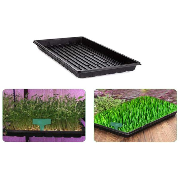 Buy Dining Room Cells Plastic Germination Trays Tomato Grow Starting at wholesale prices
