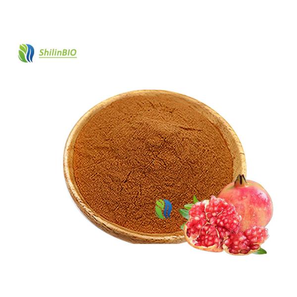 Buy Pure Pomegranate Extract  40%-98% Ellagic acid at wholesale prices