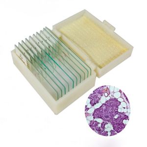 ODM Education Science Glass 10pcs Histology Microscope Slides