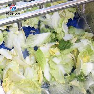 Vegetables Leaves Vegetables Onions Leafy vegetables Cabbage varieties Herbs