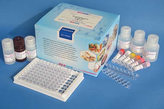 High Reproducibility Drug Residue Test Kit Chloramphenicol (CAP) ELISA Test Kit