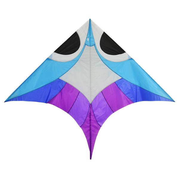 Kids Playing Use Delta Wing Kite Without Tail Fish Pattern 180*142cm