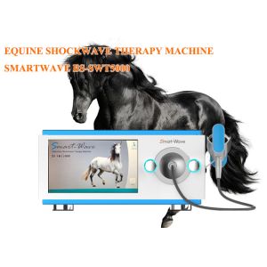 Professional Physiotherapy Radial Shockwave Therapy Machine Equine Shock Wave