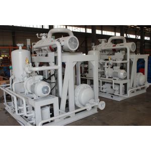 Chemicals Roots Liquid Ring Vacuum Pump System Energy Saving Long Service Life