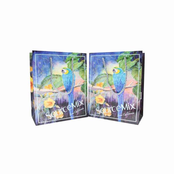 ISO Custom Printed Paper Gift Bags Bulk Order CMYK / Pantone Color