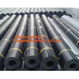 Steel plastic geogrid HDPE film HDPE LDPE geomembrane composite geomembrane