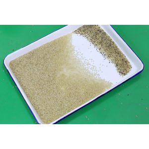 Mini CCD Cashew Nut Color Sorter Machine 32 Chute