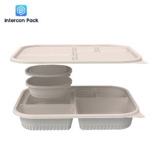 5 Compartment Bagasse Takeaway Boxes Disposable Food Container