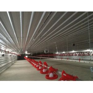 Prefabricated Steel Structure Thermostatic Hot DIP Galvanized Steel Poultry