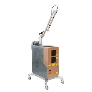 Professional Vertical 755nm Fast Tattoo Removal Skin Rejuvenation Machine
