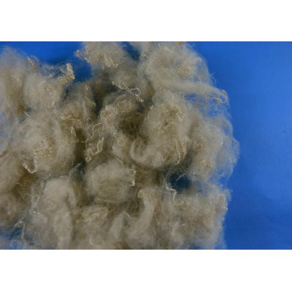 Color Functional Polyester Staple Fiber PSF Spinning Fiber 1.4d*38mm With Dyed Pattern