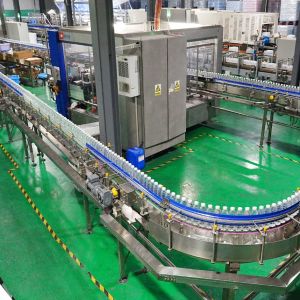 Stainless Steel 304 Hot Melt Glue Labeler with Self-Labeling and Self-Testing