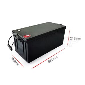 12v 100ah 200ah 300ah Lifepo4 RV AGV Batteries Lithium Phosphate