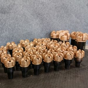Concave Rock Borehole Polycrystalline Diamond Compact Pdc Bits