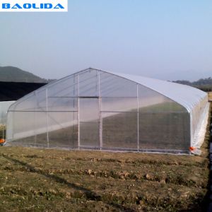 Agricultural Tent Singlespan Polytunnel Green House Poly Film Tunnel Plastic