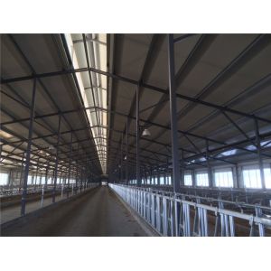 Prefabricated Insulation Steel Cowshed with Sandwich Panel