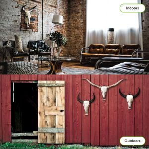 Functional Design Multifunction European Mount Skull Hanger Kit with Custom