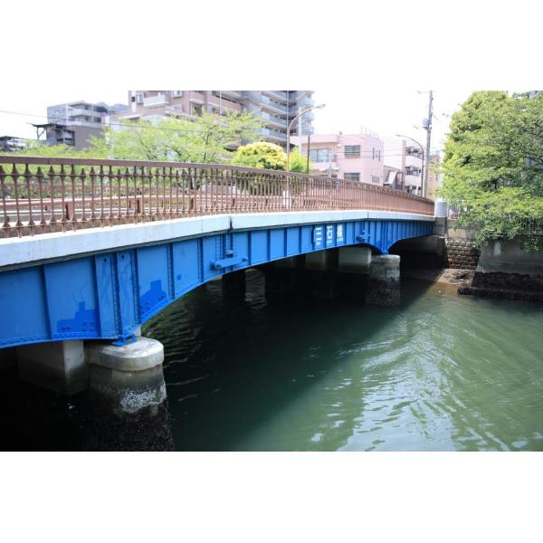 Buy 1m Passenger Foot Steel Girder Bridge Permanent at wholesale prices