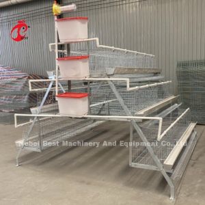 Customized Galvanized Steel A Type Poultry Layer Cage For Point Of Lay Sandy