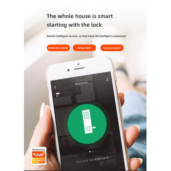 6V Wireless Door Lock Intelligent Wifi Deadbolt Door Lock For Home