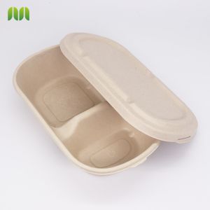 Biodegradable Food Container eco-friendly box with bagass lid
