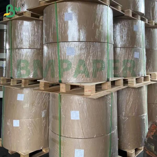 38gsm 100% Biodegradable 1050mm Grease Resistance White Pelleaglio Paper For