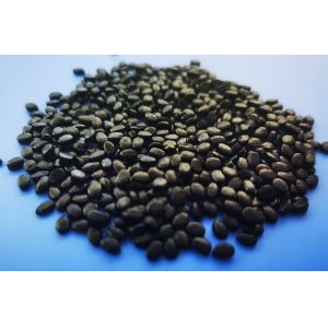 Quality Extrusion Molding Carbon Black Masterbatch LDPE Carrier Non Toxic for sale