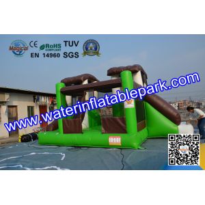 Indoor and Outdoor Inflatable Bouncy Castle with Slide