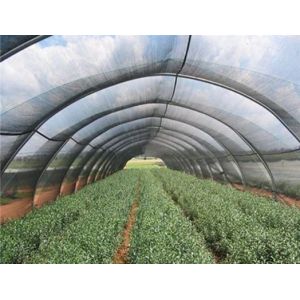 Agriculture Frame Mesh Harvest Bags / Mesh Vegetable Storage Bags